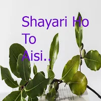 Shayari Ho To Aisi..