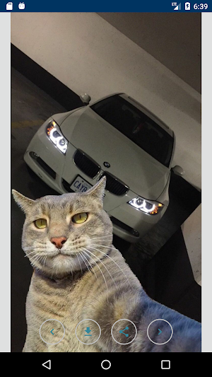 Best Beautiful BMW Pictures without internet Screenshot 0