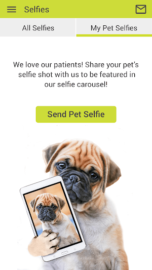 Milford Veterinary Clinic Screenshot 3