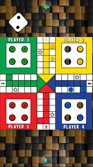 Ludo 2 3 4 Offline Multiplayer Screenshot 1