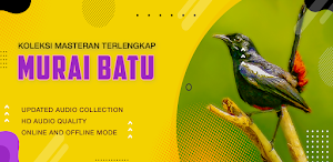 Suara Masteran Murai Batu Screenshot 0