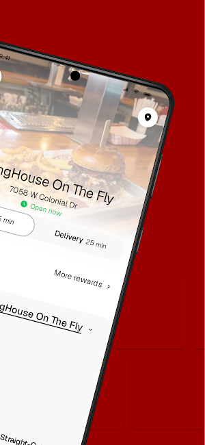 WingHouse On The Fly Screenshot 1