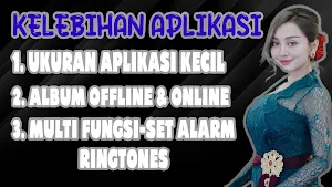 Dangdut Orgen Tunggal Offline Screenshot 1