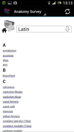 Human Anatomy Screenshot 2