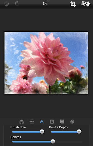 PhotoArtista - Oil Screenshot 0