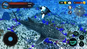 The Whale Shark Screenshot 2