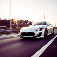 Crazy Fast Car Simulator