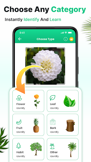 Planture: Plant Identifier AI Screenshot 2