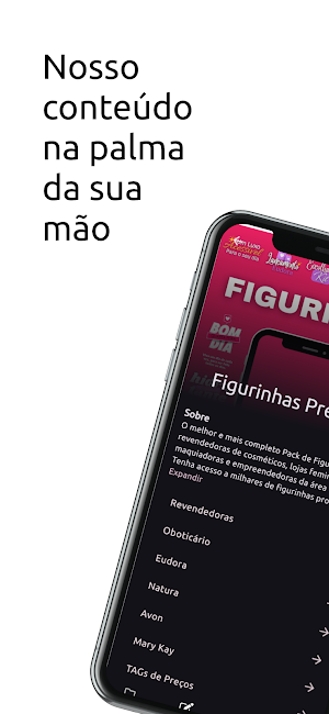 Revendedora de Sucesso Screenshot 0