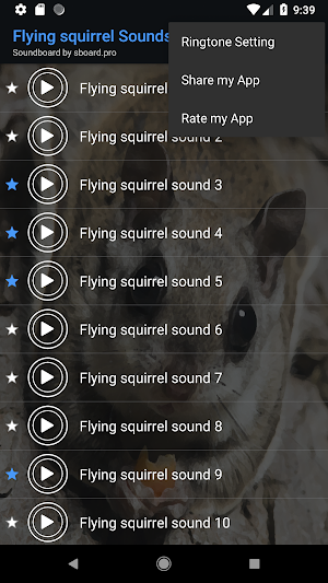 Flying squirrel sounds ~ Sboard.pro Screenshot 3