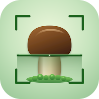 Mushroom Identifier - AI Scan