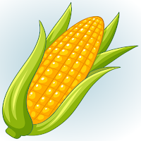 Corn Team