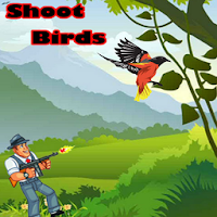 Shoot Birds