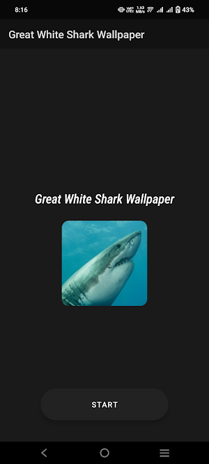 Great White Shark Wallpaper Screenshot 0