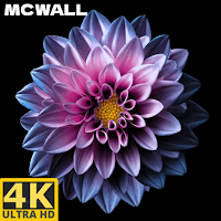 MCWALL™ - wallpapers