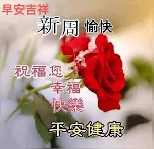 早上贺卡 Screenshot 3