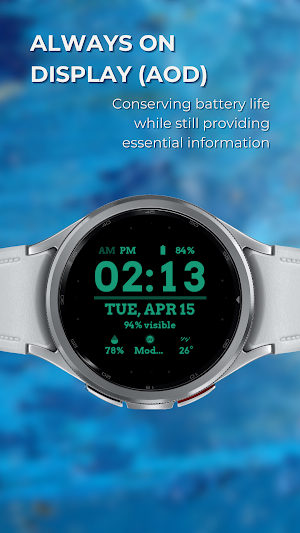 EXD157: Simply Digital Face Screenshot 2
