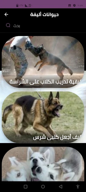 حيوانات أليفة Screenshot 1