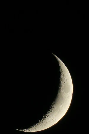 Luna Wallpapers Screenshot 1