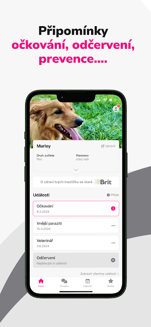 uVeterináře Screenshot 2