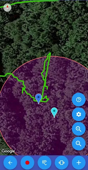 Mushrooms on the map Screenshot 3