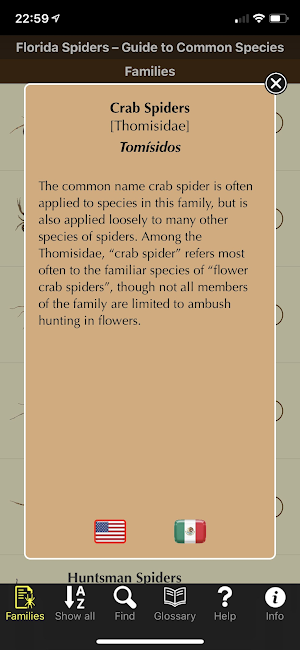 Florida Spiders Screenshot 1