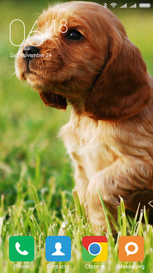 Cocker Spaniel Wallpapers Screenshot 3