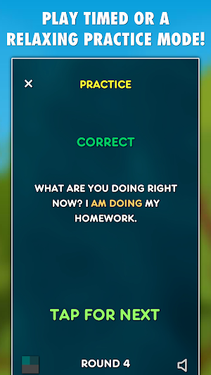 Present Tenses Grammar Test Screenshot 2
