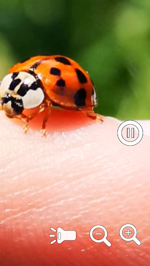 Magnifying Glass Zoom Pro 2 Screenshot 3