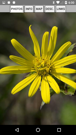 Alabama Wildflowers Screenshot 2