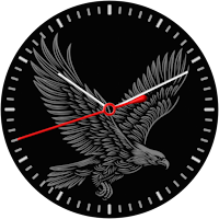 Iris576 Eagle Theme Watch Face