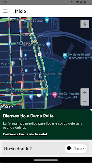 Dame Raite Screenshot 0