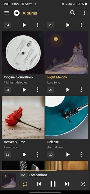 E Player (Music Player) Screenshot 0