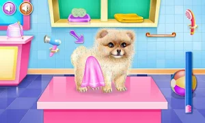 beautiful caring dog game Screenshot 2
