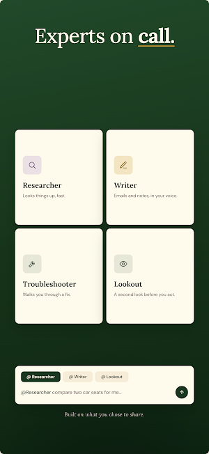 Ask Safely: Private AI Chat Screenshot 3