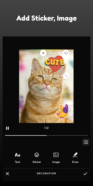 GIF Maker, Video To GIF Screenshot 0