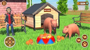 Capybara Animal Pets Simulator Screenshot 1