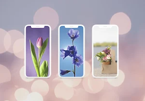 Beautiful Flowers Wallpaper HD Screenshot 1