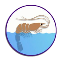 Aquatricks Driver