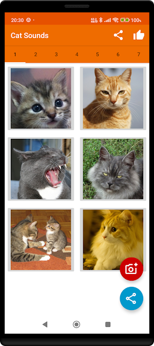 Meow Maker: Cat Sounds for Cat Screenshot 1