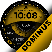 DM | 029 Digital Watch Face