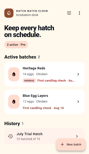 Hatch Batch Clock Screenshot 0