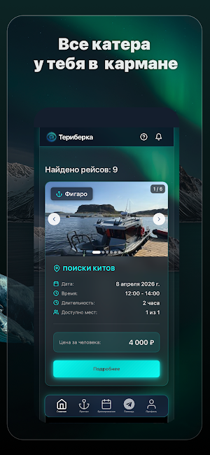 Sea Teribas — Киты Териберки Screenshot 2