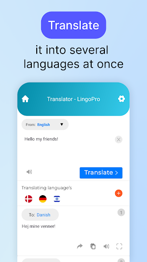 Translator - LingoPro Screenshot 3