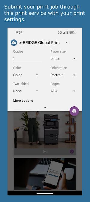 e-BRIDGE Global Print Plugin Screenshot 3