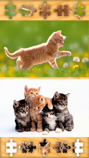 Cats Kittens Puzzles Jigsaws Screenshot 0