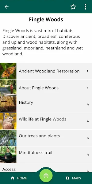 Fingle Woods Screenshot 0
