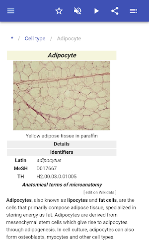 Cell type Screenshot 2