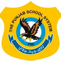 The Punjab School System