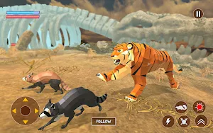 Reccoon Game Wildlife Animals Screenshot 3